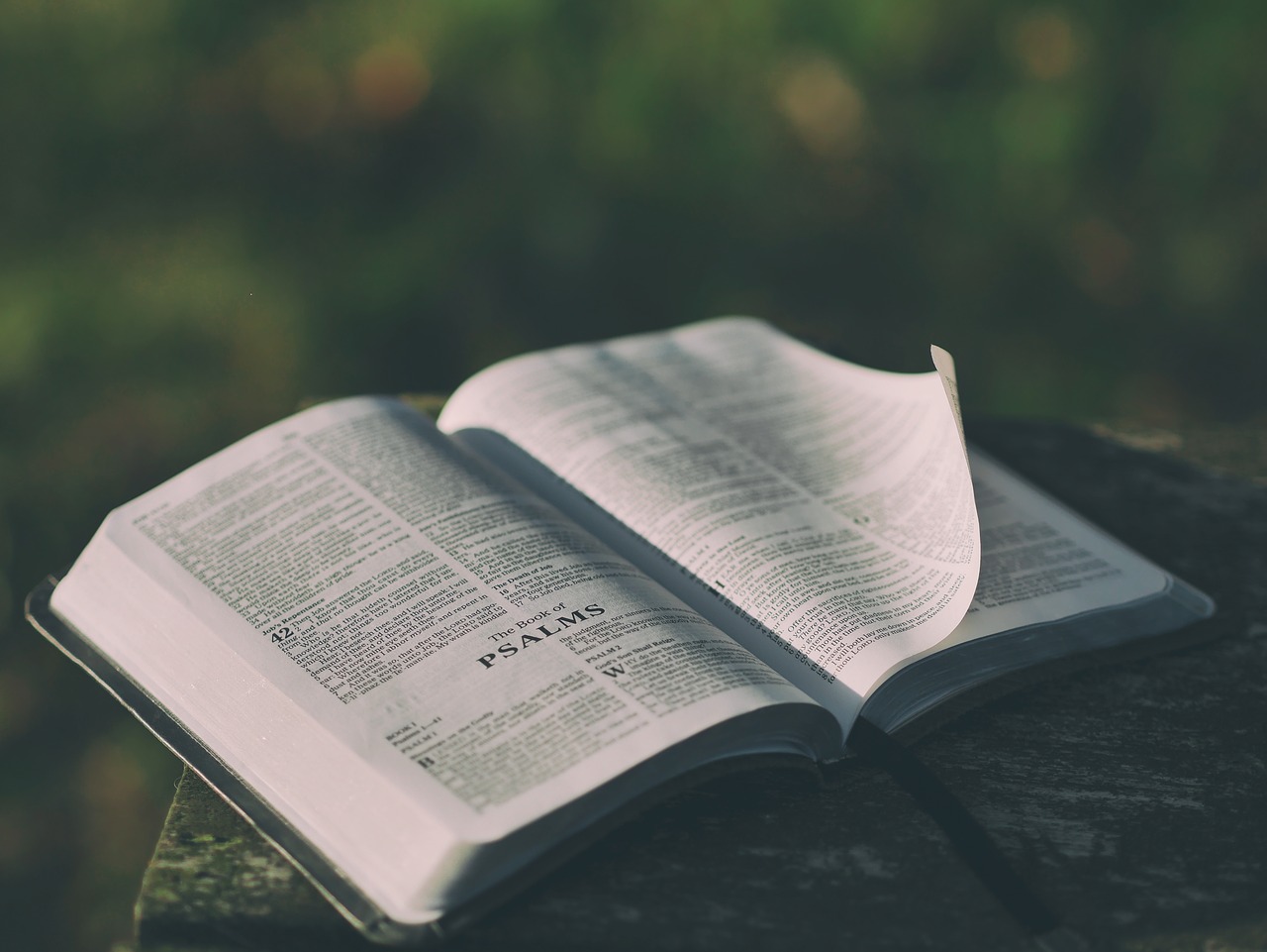 Devotional