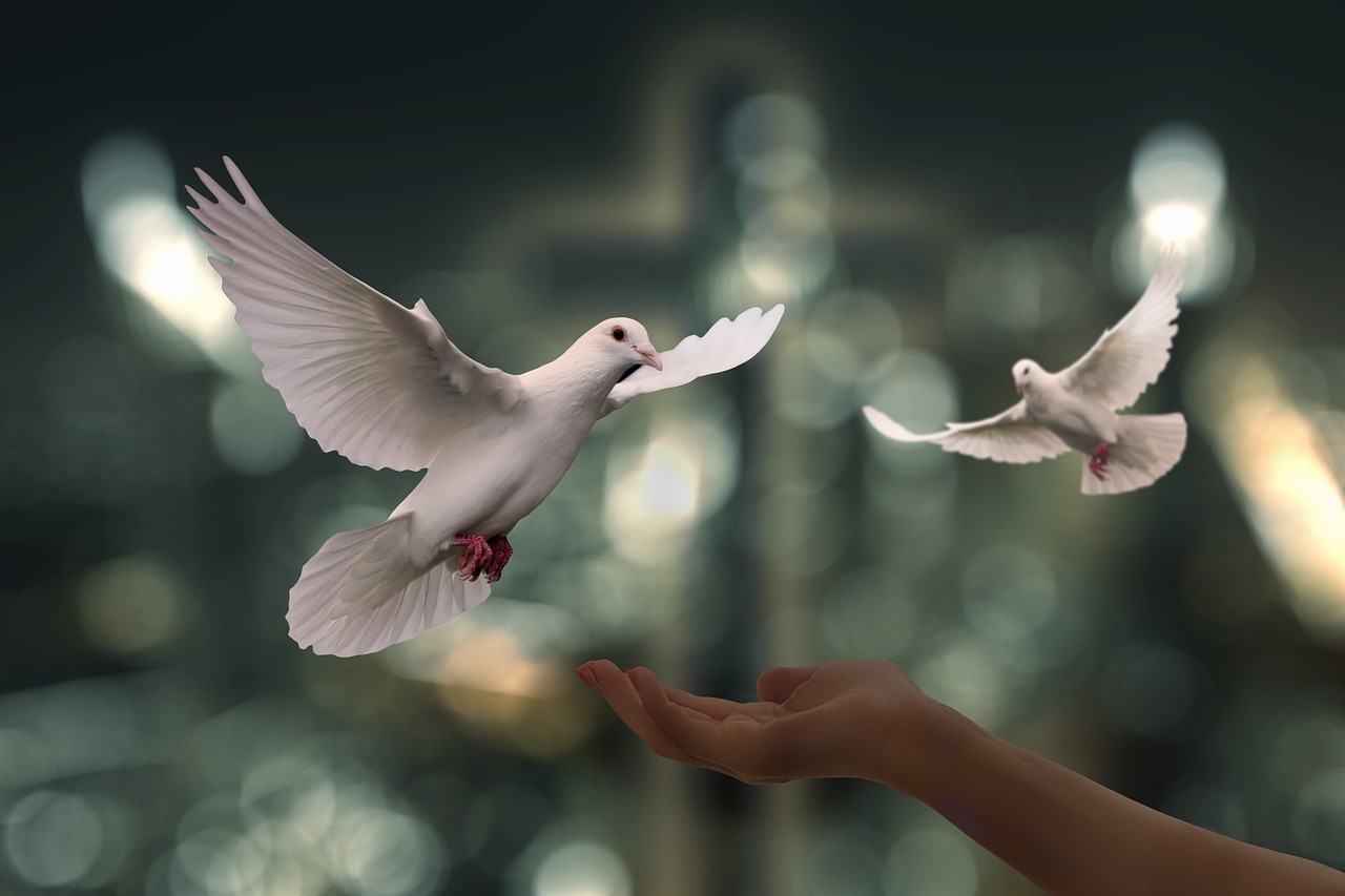 Praise & Prayer